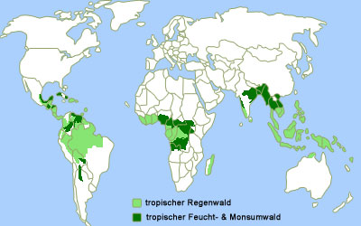 Regenwald Schutz & Informationen Regenwald.info